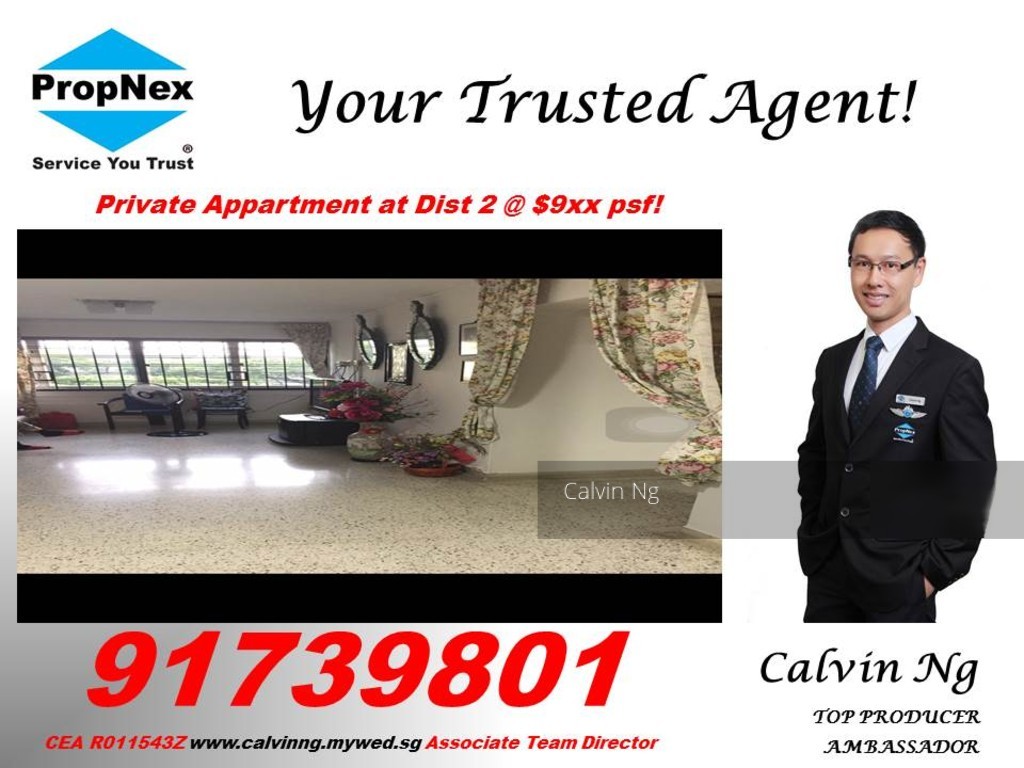 Spottiswoode Park (D2), Apartment #125381232